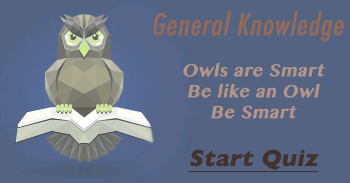 Banner for Can you match the intelligence of an Owl?