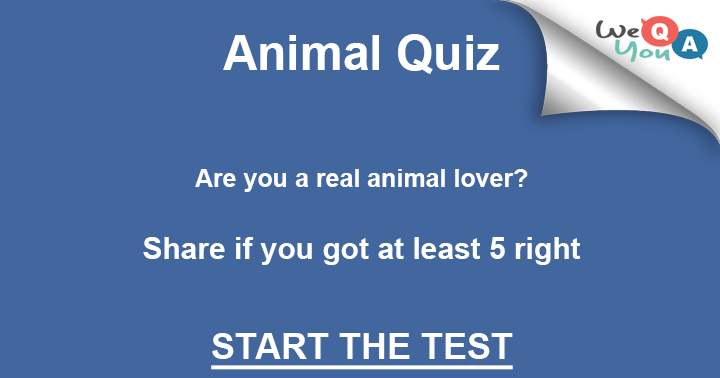 Banner for Do you consider yourself a genuine animal enthusiast? Demonstrate your knowledge about them.