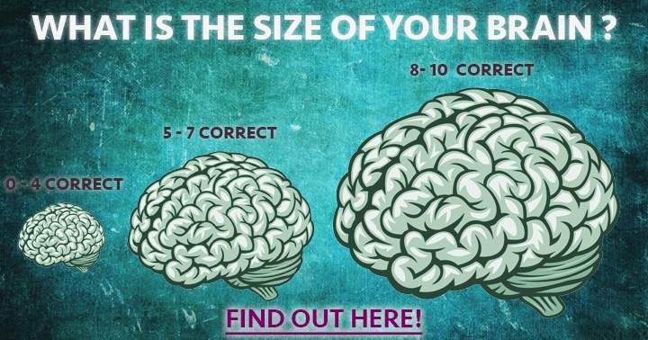 Banner for A bigger brain corresponds to a better score.