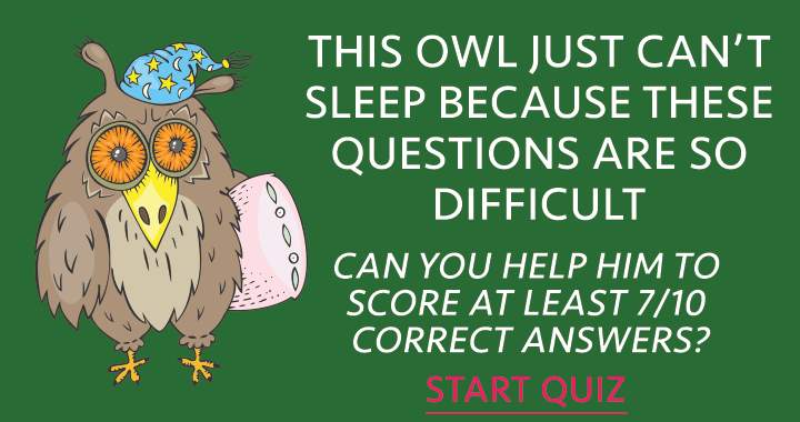 Banner for Could you assist this owl?