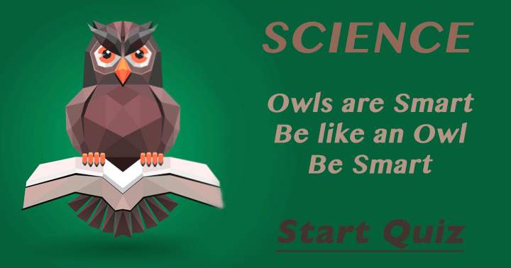 Banner for Imitate this Owl.