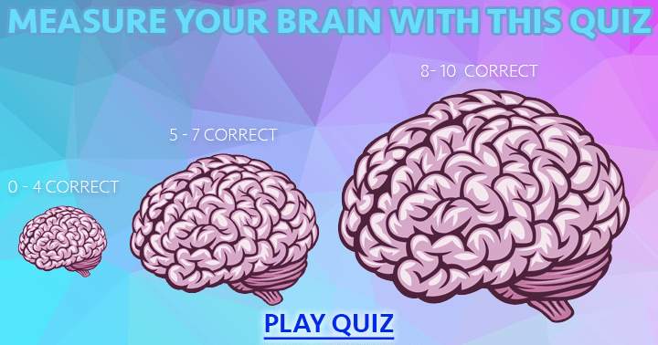 Banner for What is the size of your brain?