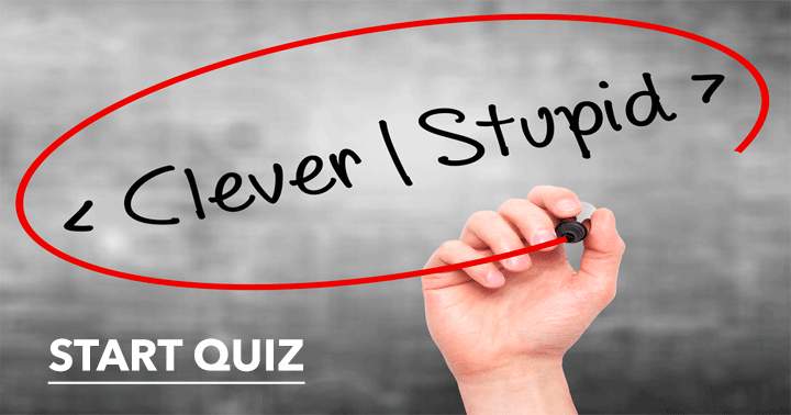 Banner for Will you demonstrate intelligence or foolishness in this General Knowledge quiz?