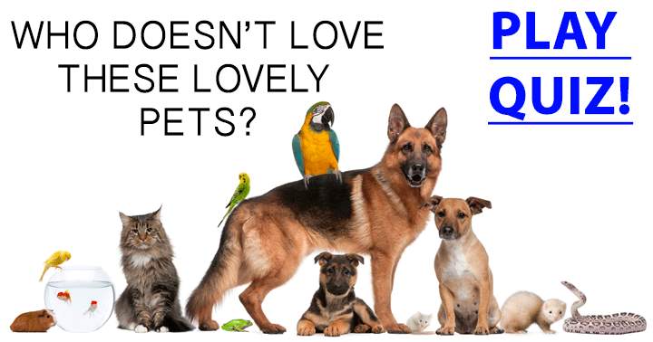 Banner for Who can resist these adorable pets?