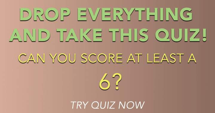 Banner for Take this quiz immediately and abandon all else.