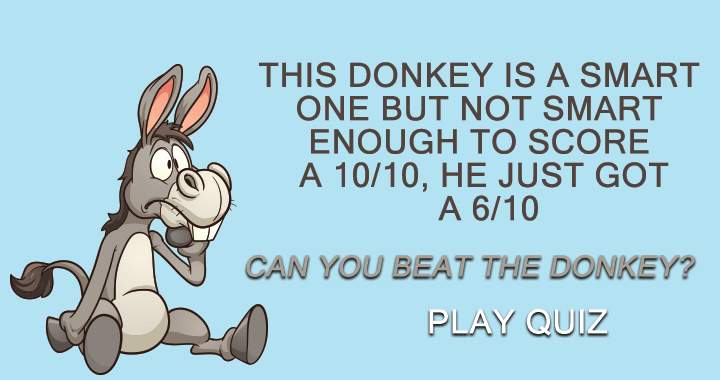 Banner for Do you think you are smarter than the donkey?