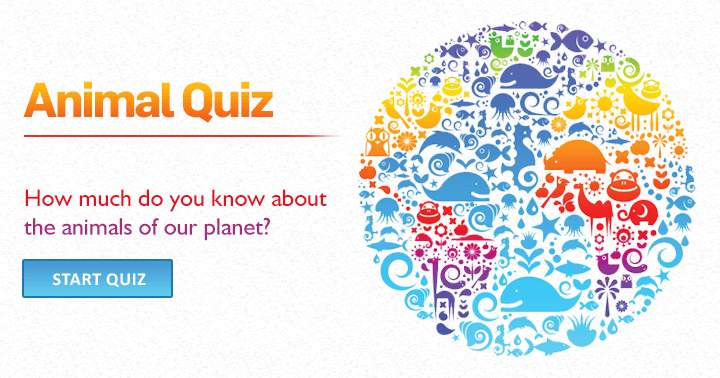 Banner for What is your knowledge level regarding the animals on our wonderful planet?