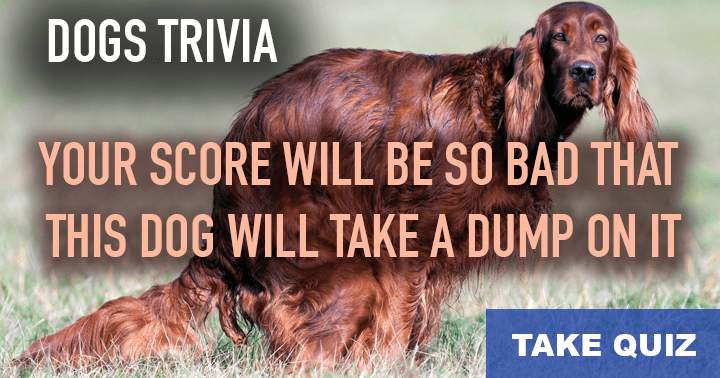 Banner for Test your knowledge with these challenging questions about dogs, level: Ultra Hard.