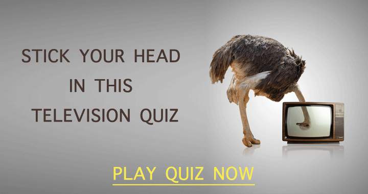 Banner for Immerse yourself in this fantastic Television quiz!