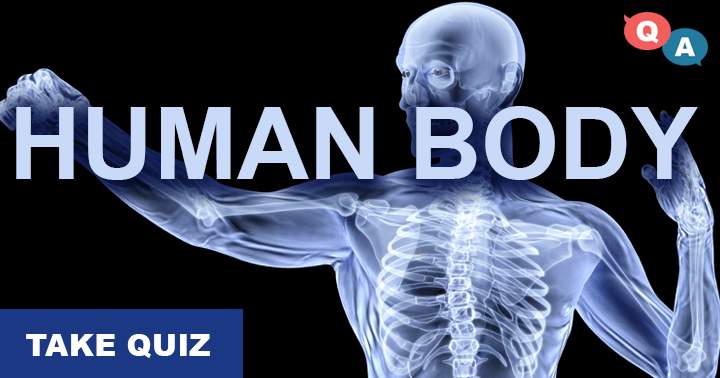 Banner for It's a tough quiz on the human body, we doubt you can even get a 4 or higher.