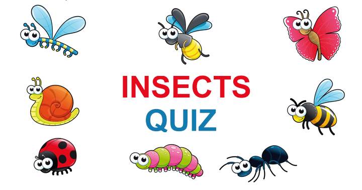 Banner for What is your knowledge level on insects?