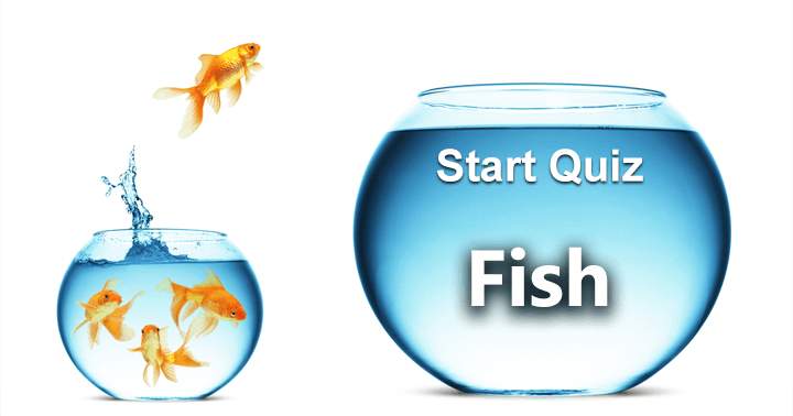 Banner for Try your hand at these 10 tough fish-related questions!