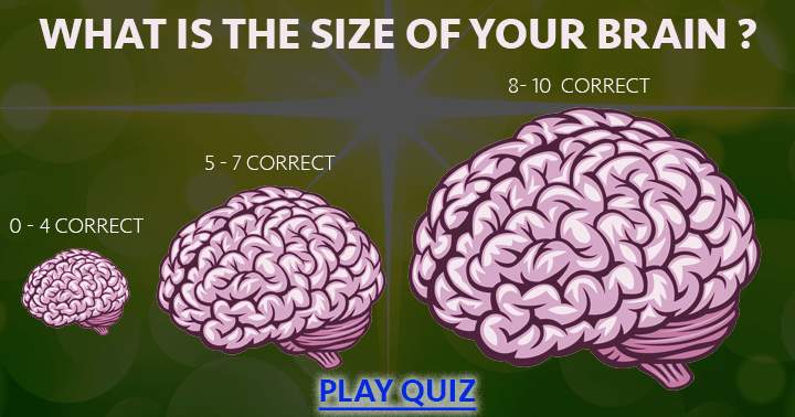 What is the size of your brain?