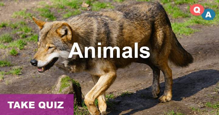 10 very hard questions about Animals, most people can't even get 1 question right.