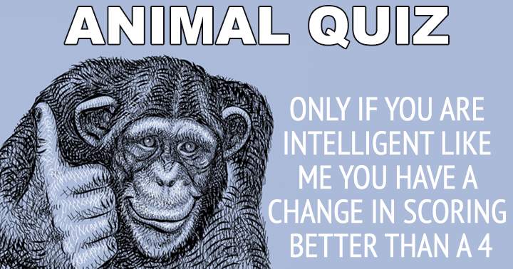 Banner for Animal Quiz