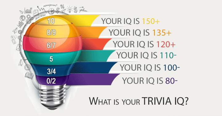 Banner for What is your Trivia IQ?